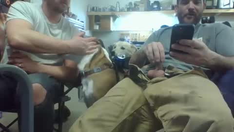 Snapshot of bicboy007 chatting on March 8, 2:34 am bicboy007 online show from March 8, 2:34 am