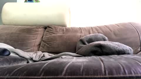 Snapshot of bigboadick chatting on October 31, 2:18 pm bigboadick online show from October 31, 2:18 pm