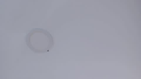   online show from October 16, 9:10 am