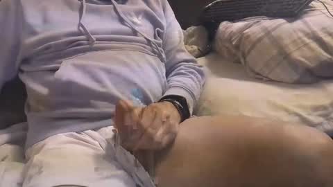 L e g a l    S t u f f Any UNAUTHORIZED use of this profile video pictures or audio in any form or in a forum now or in the fu online show from March 3, 4:58 am