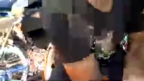 bigcok4you6969 online show from June 15, 8:44 pm