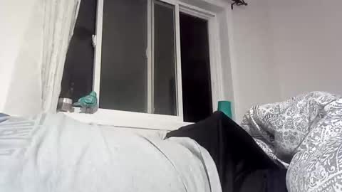 Snapshot of bigcumcanada chatting on December 18, 2:42 am bg online show from December 18, 2:42 am