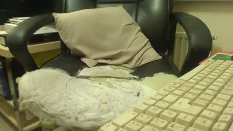 Snapshot of bigcurve chatting on January 30, 8:21 pm bigcurve online show from January 30, 8:21 pm