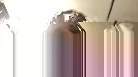 Snapshot of bigdaddy1988_ chatting on November 3, 6:14 am Big Daddy 1988 S online show from November 3, 6:14 am