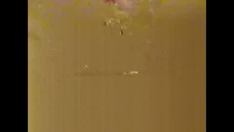 bigdaddydongarlets391292 online show from October 17, 8:06 am