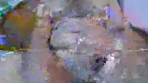 bigdaddysam95 online show from September 24, 6:00 pm