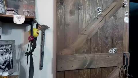 Snapshot of bigdbrillion chatting on February 12, 4:23 am Darryl online show from February 12, 4:23 am