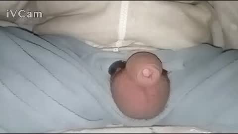 Snapshot of bigdick666cm chatting on January 30, 2:49 am Big online show from January 30, 2:49 am