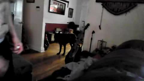 bigdickdaddy7201979564868 online show from May 24, 9:42 pm
