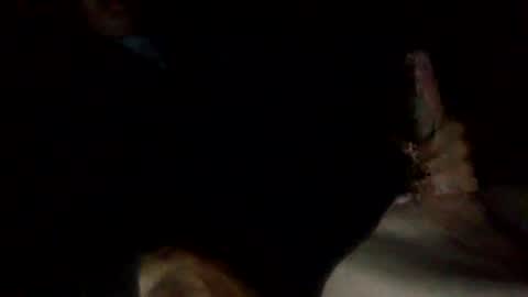 Snapshot of bigdickdangles472924 chatting on July 25, 9:45 pm bigdickdangles472924 online show from July 25, 9:45 pm