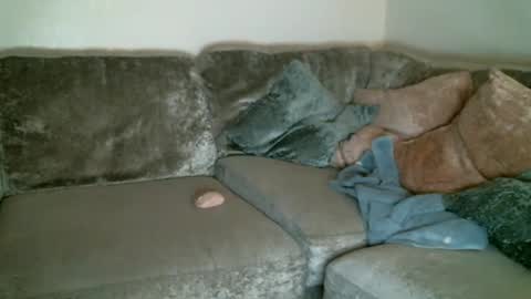 Snapshot of bigdickjimmywill chatting on February 11, 5:47 am CAJEinc online show from February 11, 5:47 am