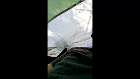 Snapshot of bigdicktatteddaddy chatting on April 4, 2:03 pm bigdicktatteddaddy online show from April 4, 2:03 pm