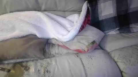 bigdicktrannynicole online show from January 21, 2:11 am