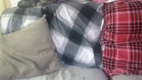 bigdicktrannynicole online show from January 29, 12:56 pm