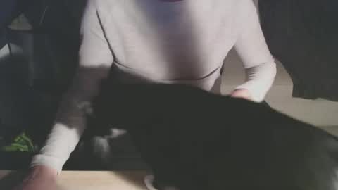 BigDutchEnergy online show from February 28, 11:06 pm