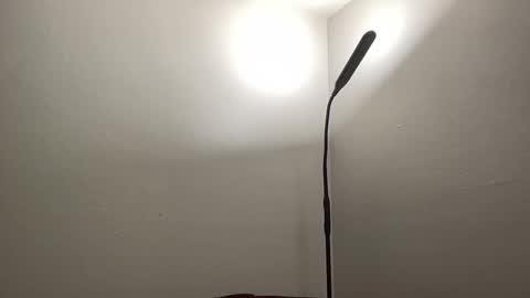 Nick Barker online show from January 26, 1:20 am