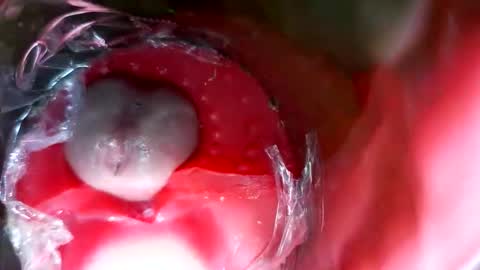 bigmoneycorey online show from March 12, 7:31 pm