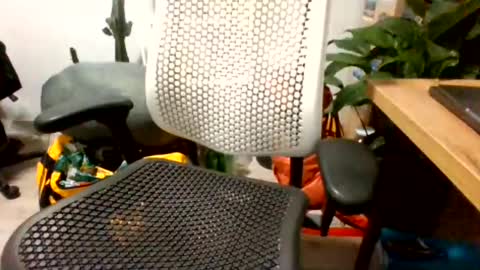 bigpolishdick12345 online show from June 24, 11:04 pm