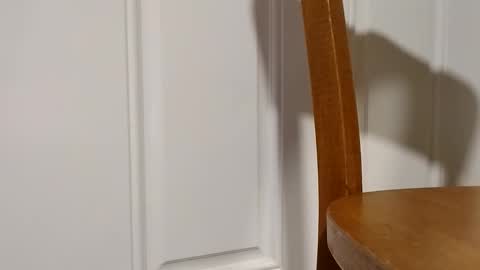 Snapshot of bigtopcircus chatting on February 28, 2:56 am bigtopcircus online show from February 28, 2:56 am