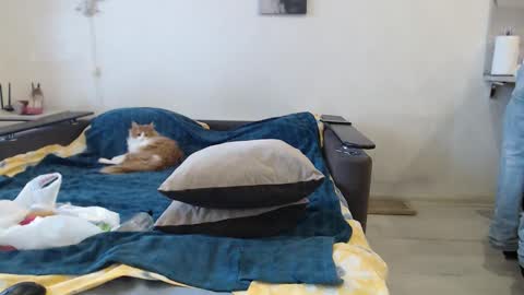 BigTwinsOmg online show from February 20, 6:26 am