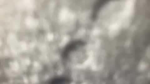 Snapshot of biguywithtoys chatting on December 22, 6:37 pm biguywithtoys online show from December 22, 6:37 pm