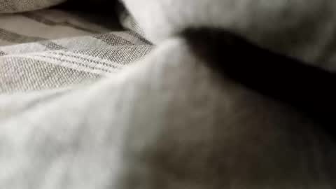 Snapshot of billy7801801010 chatting on February 20, 1:13 am billy7801801010 online show from February 20, 1:13 am