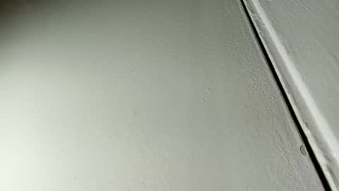 Snapshot of bilmapiedradura chatting on January 19, 7:36 am Bill online show from January 19, 7:36 am