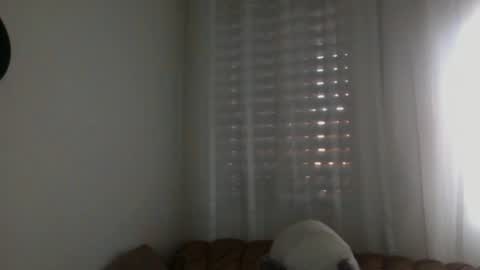 Snapshot of bilmapiedradura chatting on February 16, 7:59 am Bill online show from February 16, 7:59 am