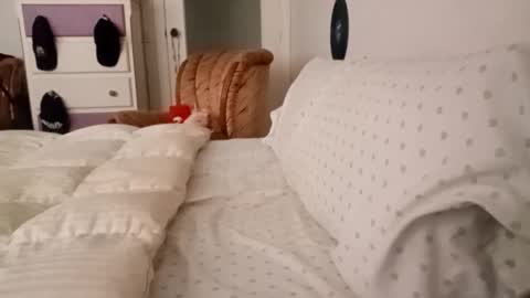 Snapshot of bilmapiedradura chatting on September 19, 8:05 am Bill online show from September 19, 8:05 am