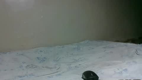 Snapshot of bitchcam_ chatting on November 28, 9:06 pm bitchcam_ online show from November 28, 9:06 pm