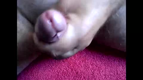 blabla78000 online show from September 15, 6:46 am