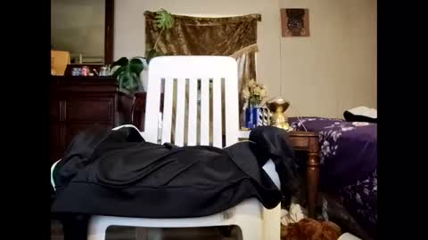 Snapshot of blacccocc4u2 chatting on March 29, 12:16 pm blacccocc4u2 online show from March 29, 12:16 pm