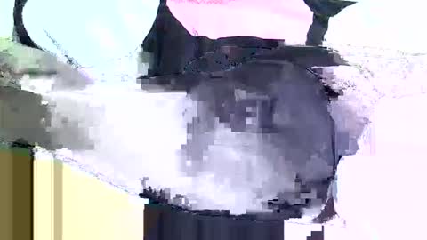 black_berry9 online show from March 16, 5:44 am