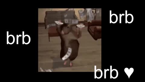 Snapshot of black_kittie_01 chatting on October 26, 1:17 pm Black Kittie Wednesday - 1300 - 1900 GMT help me get 100 thumbs up online show from October 26, 1:17 pm