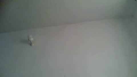 black african online show from November 15, 5:27 am