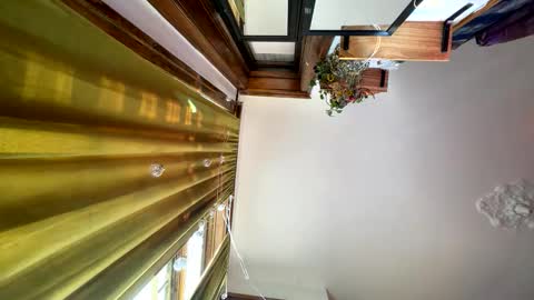 Snapshot of blair_switch chatting on November 16, 5:18 pm Blair online show from November 16, 5:18 pm