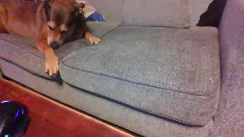 blaw_1321 online show from June 9, 5:52 am