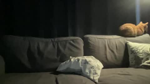 Snapshot of bllyidol chatting on November 24, 6:46 am BlIdoL online show from November 24, 6:46 am