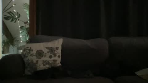 Snapshot of bllyidol chatting on December 18, 9:04 am BlIdoL online show from December 18, 9:04 am