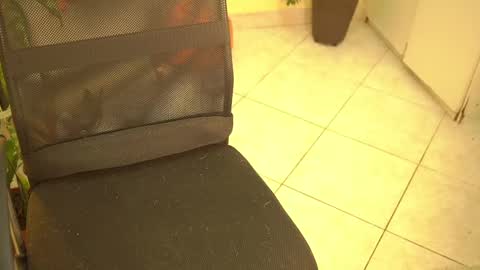 FLORAA online show from March 10, 6:27 am