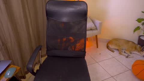 FLORAA online show from December 3, 1:53 pm