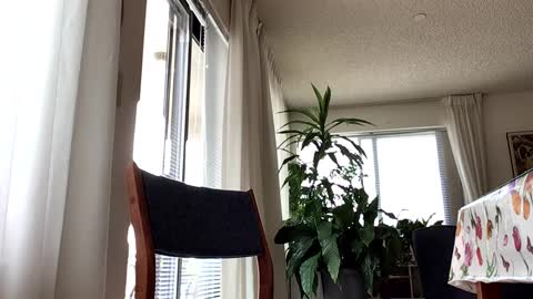 Snapshot of blueyedudeseattle chatting on September 21, 6:42 pm Blueyedudeseattle online show from September 21, 6:42 pm