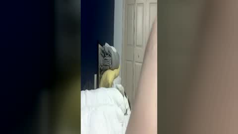 bmcluving online show from June 14, 4:47 am