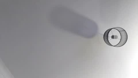 Snapshot of bobby160968 chatting on November 19, 7:03 pm bobby160968 online show from November 19, 7:03 pm