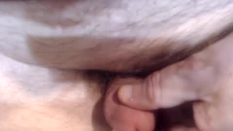 Snapshot of bobswan chatting on December 26, 5:19 pm bobswan online show from December 26, 5:19 pm