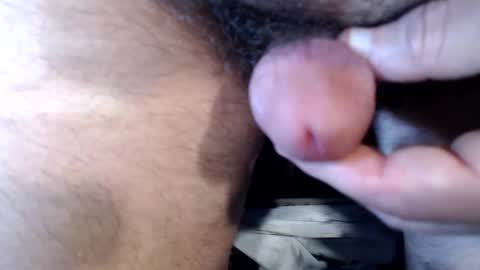 Snapshot of bobswan chatting on September 17, 6:53 pm bobswan online show from September 17, 6:53 pm