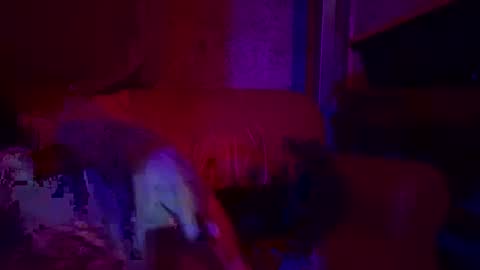 Sailorartemis online show from April 26, 6:49 pm