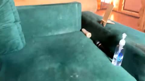 Snapshot of bohemianrhapsody1 chatting on October 8, 10:35 am Nail and Olivia online show from October 8, 10:35 am