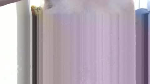 Snapshot of bolbil1 chatting on December 15, 11:34 am bolbil1 online show from December 15, 11:34 am