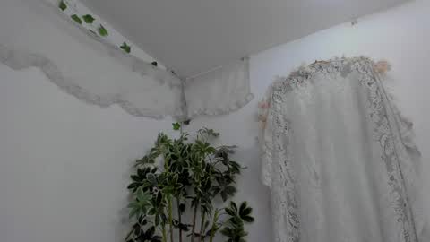   online show from July 10, 12:37 am
